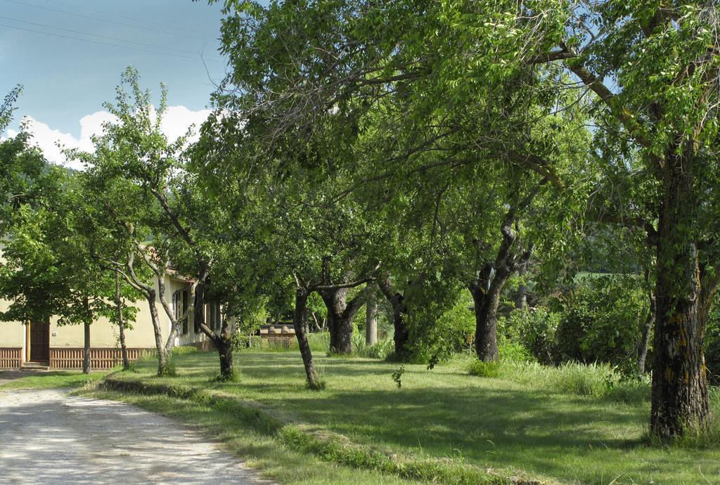 Agriturismo Il Casalone Montepulciano Stazione Exteriér fotografie